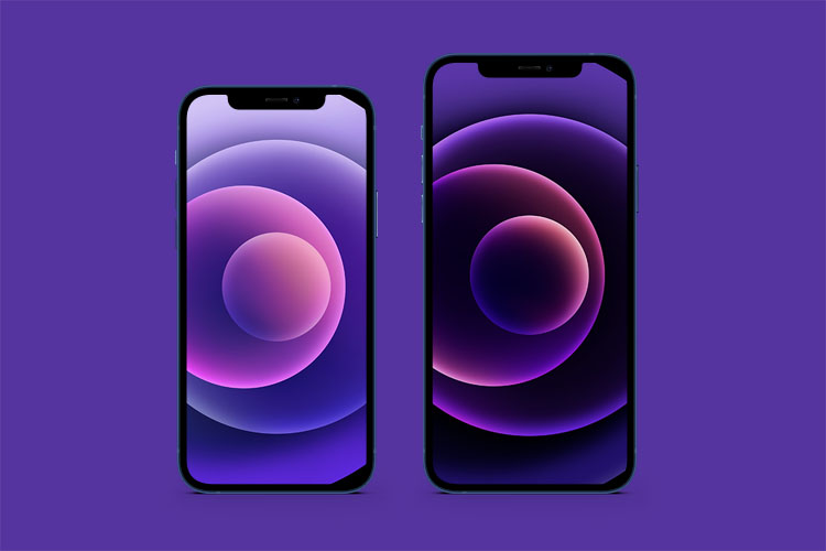 Download The New Purple Iphone 12 Wallpaper For Your Devices Idisqus